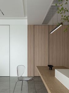 Insviable Door